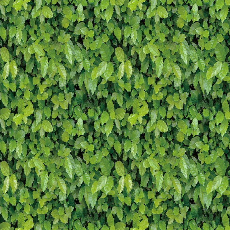 Wallpapers Multi Patterns